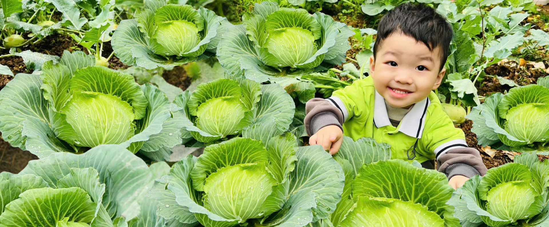 Hệ thống giáo dục Thông minh và<br>Hạnh phúc<br>Hotline: 0333.162.388